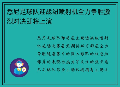 悉尼足球队迎战纽喷射机全力争胜激烈对决即将上演